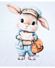 Panel blanket Shell POSTMAN