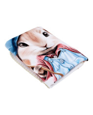 Panel blanket Shell PAINTER