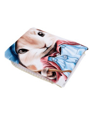 Panel blanket Shell PAINTER